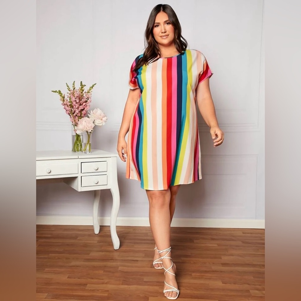 SHEIN Plus Rainbow Striped Colorblock Tunic Dress